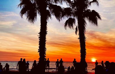 australsk tidszone - palmer på stranden i solnedgang