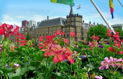 f1 holland - binnenhof facade med blomster og flag