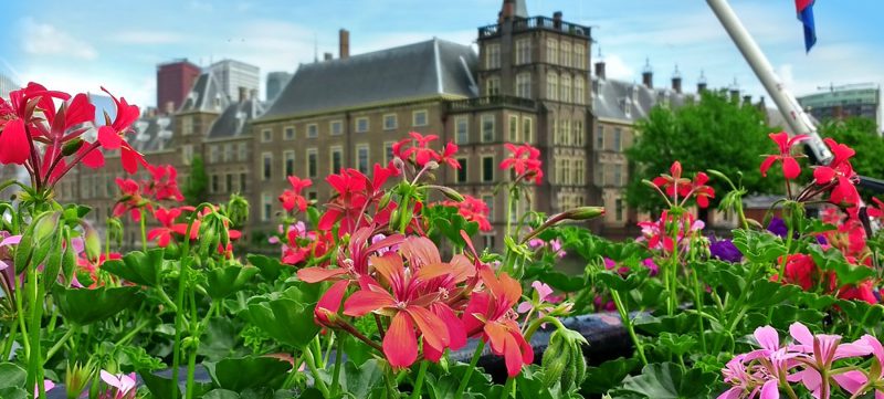f1 holland - binnenhof facade med blomster og flag