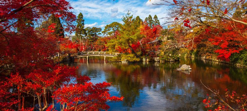 formel 1 japan - vandløb og efterårsfarver